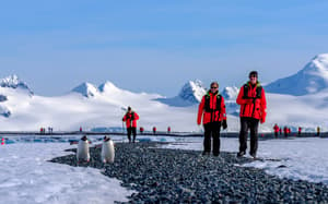 Hurtigruten - Environment - Excursions - Penguins - Expeditions.jpg